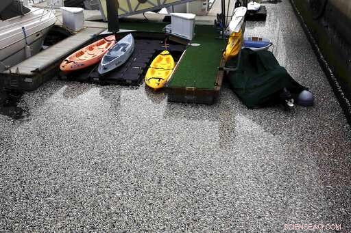 AP Finds Heat Records Declining Twice as Quickly as Cold Records