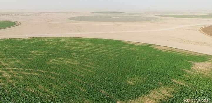 Using Aerial Imaging to Optimize Crop Height Management for Better Farm Efficiency