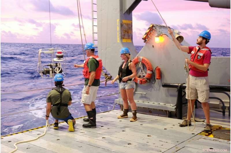 Parasitic Arsenic Cycle Revealed: Implications for Life in Warming Oceans