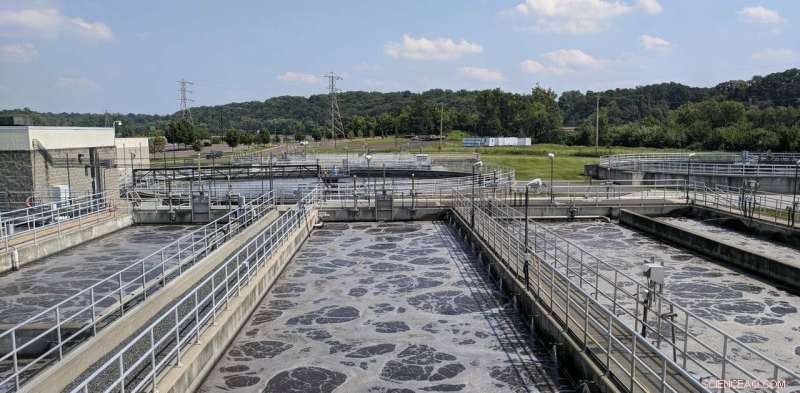 Turning Wastewater into Value: Scientists Unlock Nutrients, Energy, and Precious Metals