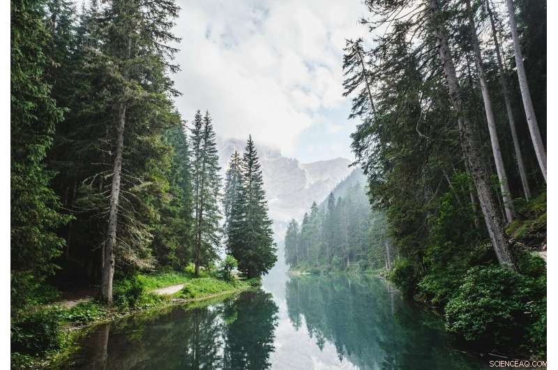 Valuing Biodiversity: The Economic Business of Protecting Nature