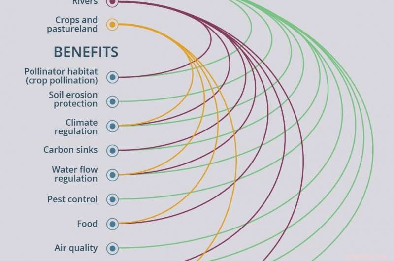 Valuing Biodiversity: The Economic Business of Protecting Nature