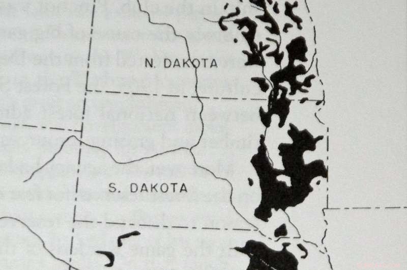 National Environmental Service: How a Young Conservation Army Can Drive Change