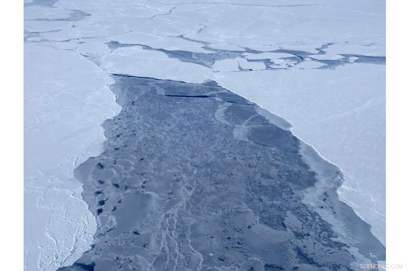 Arctic Sea Ice 2019 Winter Extent Reaches Seventh Lowest Level