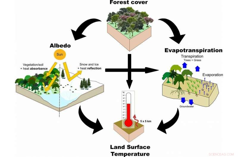 Model Predicts Brazil Deforestation Could Raise Local Temperatures by 1.45°C