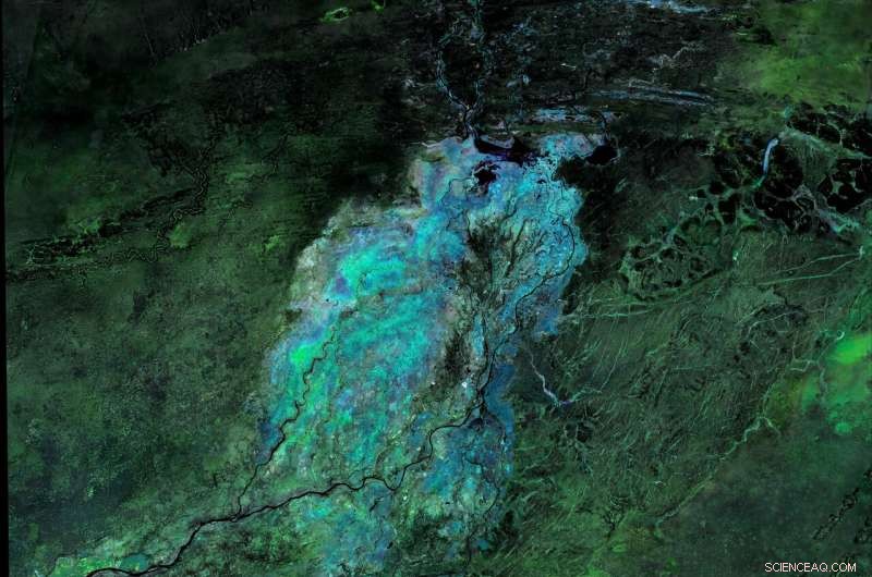 Unveiling Land‑Cover Dynamics: High‑Resolution Insights from Sentinel‑2