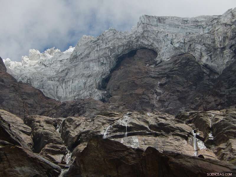 Bridging Science and Policy: Innovative Solutions for Global Challenges