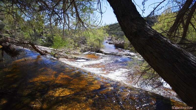 Bridging Science and Policy: Innovative Solutions for Global Challenges