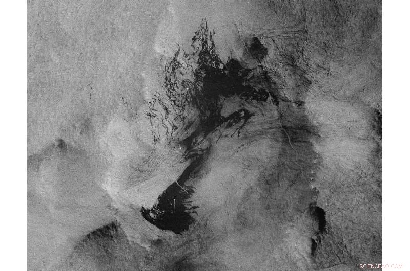 Grande America Oil Spill: Copernicus Sentinel-1 Satellite Image