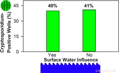 Cryptosporidium Parasite Detected in Minnesota Groundwater: Health Risks Uncovered