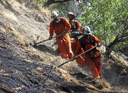 California to Suspend Environmental Rules to Accelerate Wildfire Preparedness