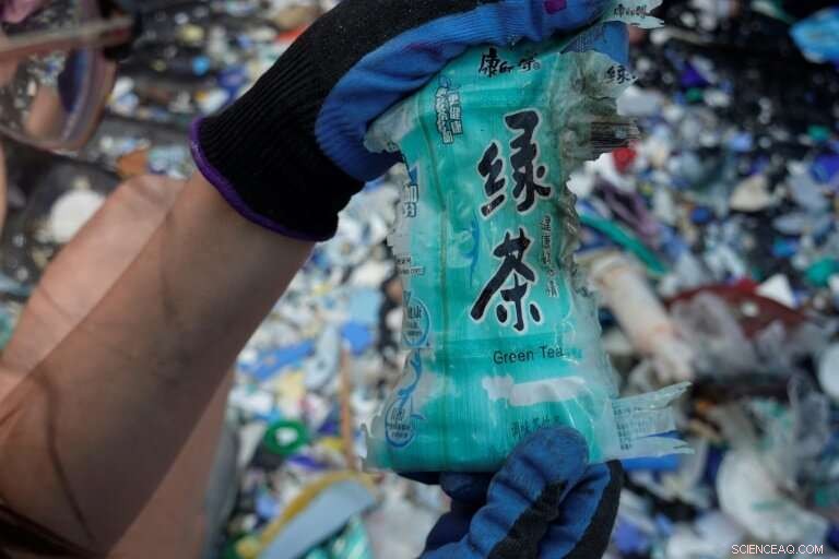 Microplastics Threaten Galapagos Fauna