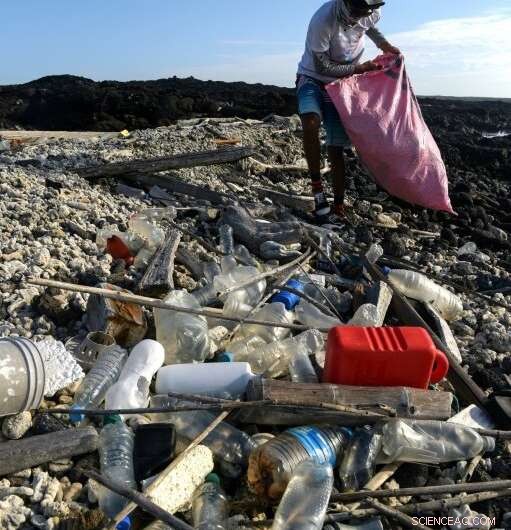 Microplastics Threaten Galapagos Fauna