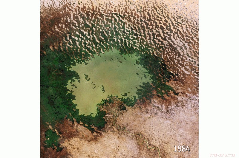 Lake Chad’s Dwindling Waters: A Visual Insight