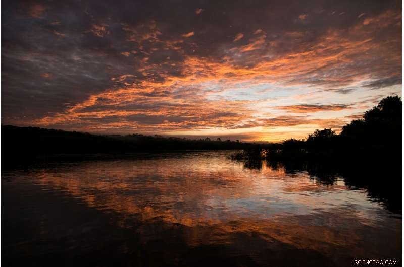 Study Finds Amazon River Loses Significant Surface Water Due to Human Activities