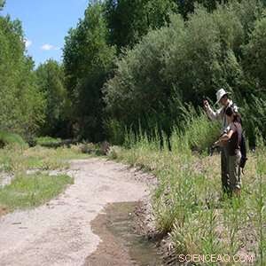 How Citizen Science is Revolutionizing Data Collection on Intermittent Rivers in the Southwest