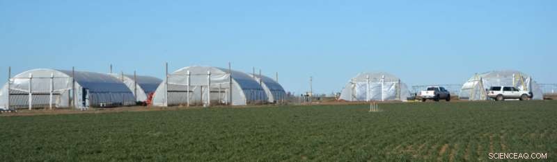 High‑Tunnels Designed to Withstand Bomb Cyclone Winds – Texas A&M Research