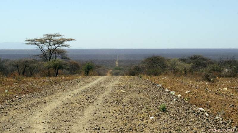New Perspectives on the Recent Evolution of the African Rift Valley