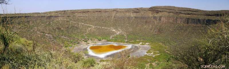 New Perspectives on the Recent Evolution of the African Rift Valley