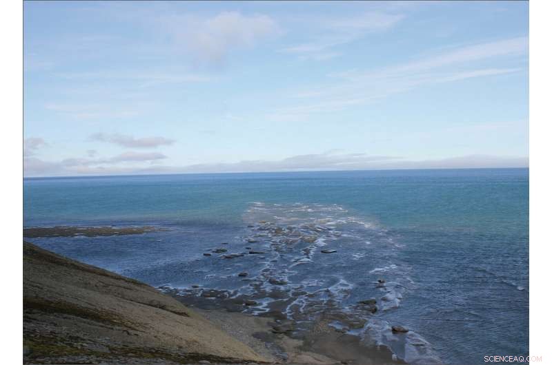 Unveiling Earth s Biggest Delta Plain: A Triassic Wonder