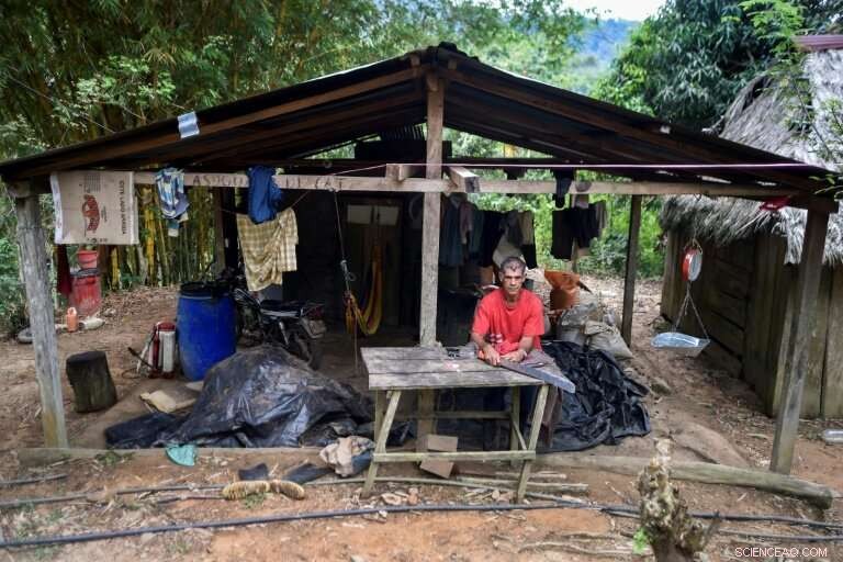 Colombia s Coca Farmers Face Tough Choices Over Crop Future