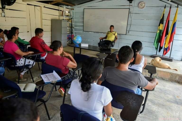 Colombia s Coca Farmers Face Tough Choices Over Crop Future