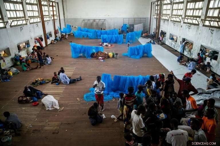 Health Risks Escalate for Cyclone Survivors in Africa