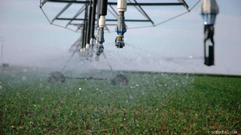 CAST Research Uncovers Long-Term Consequences of Groundwater Depletion on Agriculture