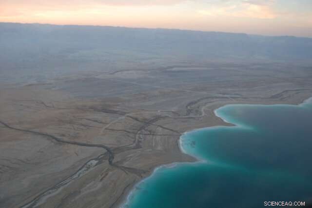 Necrophagy as a Survival Strategy in the Dead Sea Sediments