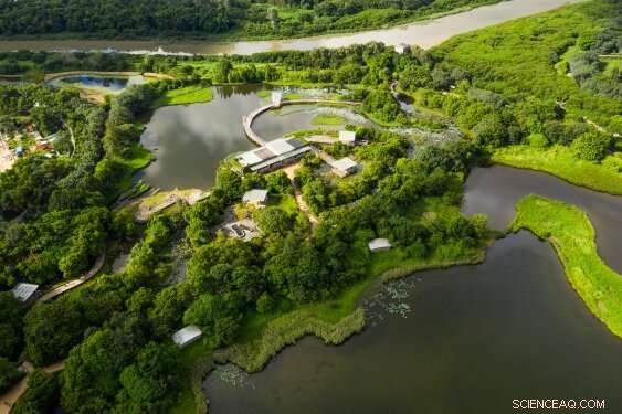 Safeguarding Wetlands from Underground Mining Impacts