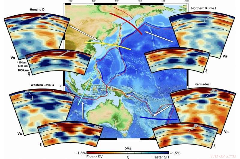 Dynamic Flows Deep Within Earth s Mantle