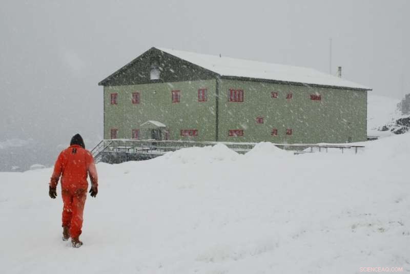 Intense Antarctic Snowstorms Drive Most Snowfall, New Study Finds