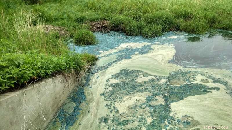 Greening Lakes Could Amplify Greenhouse Gas Emissions: Expert Analysis