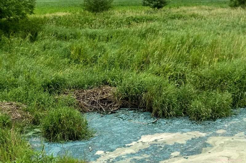 Greening Lakes Could Amplify Greenhouse Gas Emissions: Expert Analysis