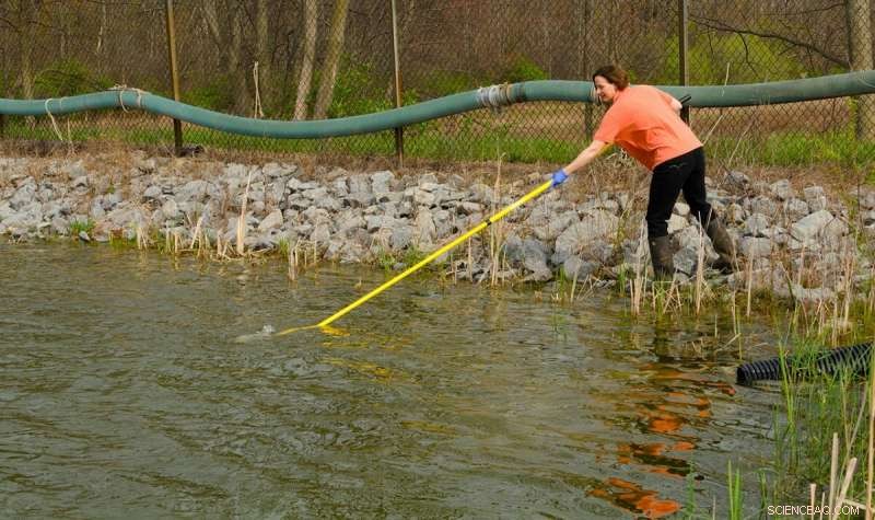 Cornell Researchers Clarify Water Requirements for the Produce Safety Rule