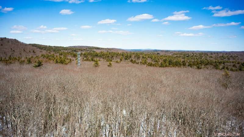 Harvard Scientists Amazed by Cutting-Edge Hurricane Simulation
