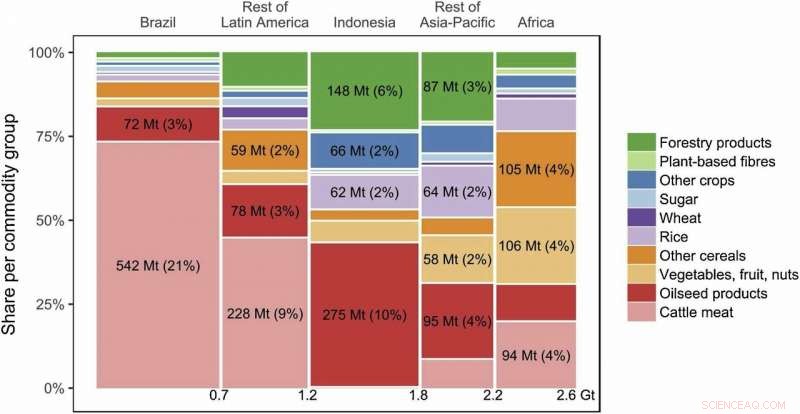 EU Imports Drive Significant Carbon Emissions from Tropical Deforestation, New Research Reveals