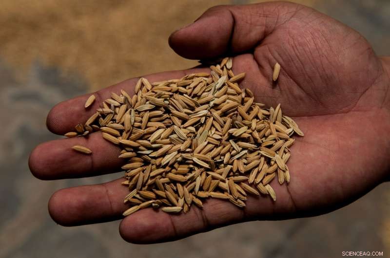 Maximize Climate Investment: Study Pinpoints Hotspots for Adaptation Funding