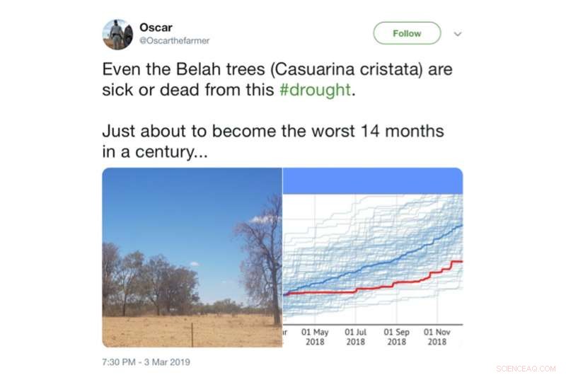 Help Scientists Track Drought‑Affected Australian Trees