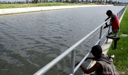 Beira, Mozambique: Climate Resilience Tested as Cyclone Strikes