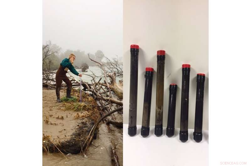 Freshwater Shoreline Erosion Transforms Wetlands, Shifting Carbon Dynamics