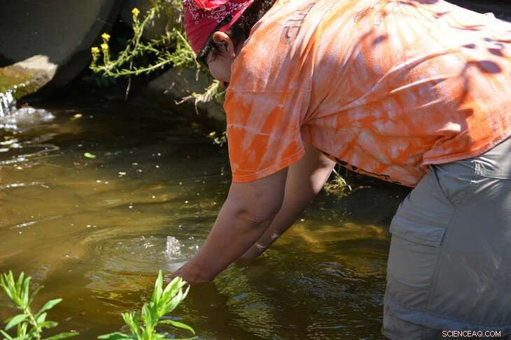 New Study Evaluates Stream Restoration Impact on Chesapeake Bay Health