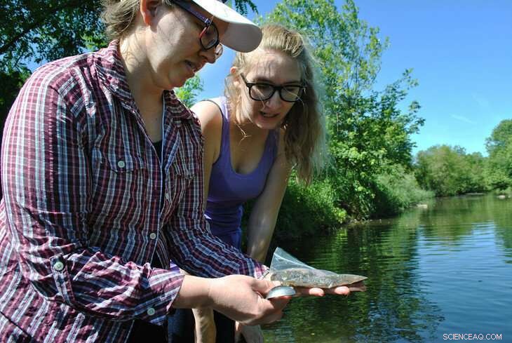 New Study Evaluates Stream Restoration Impact on Chesapeake Bay Health