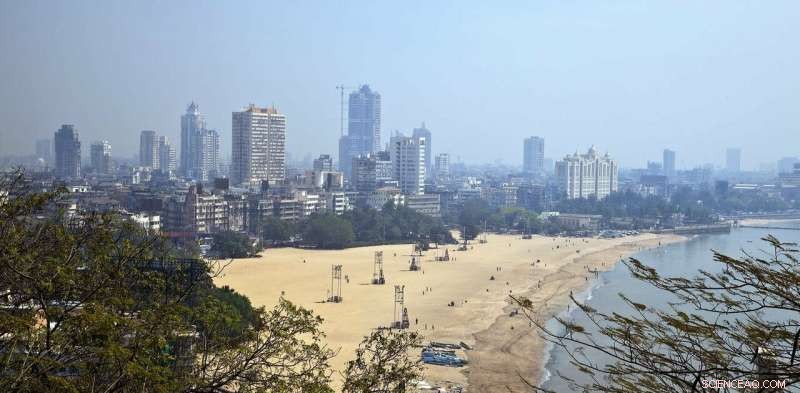 Healthy, Happy, and Tropical: Why the World’s Fastest‑Growing Cities Demand Our Attention