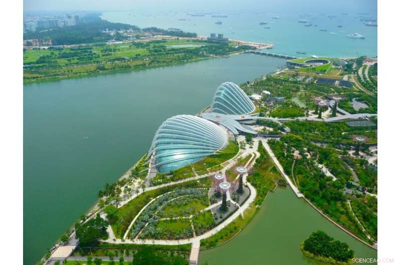 Healthy, Happy, and Tropical: Why the World’s Fastest‑Growing Cities Demand Our Attention