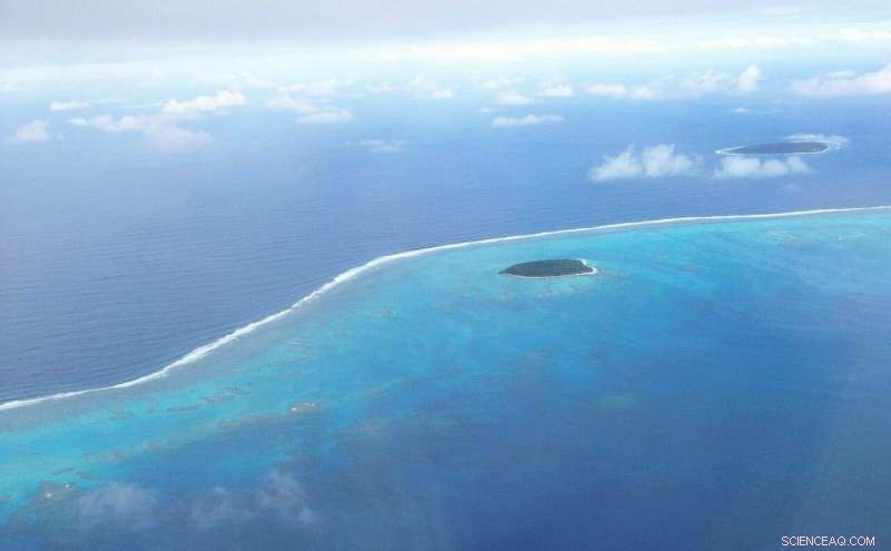 Deep Earth Unveiled: Insights from Recent Massive Earthquakes