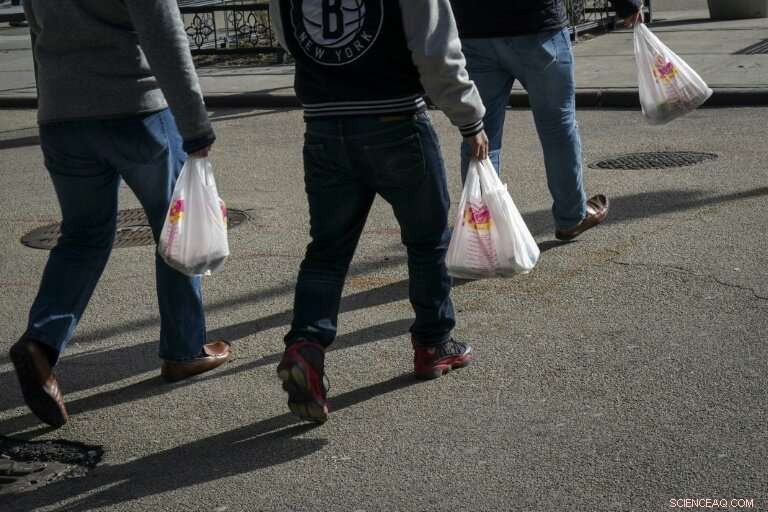 New York Set to Enforce Statewide Ban on Single-Use Plastic Bags