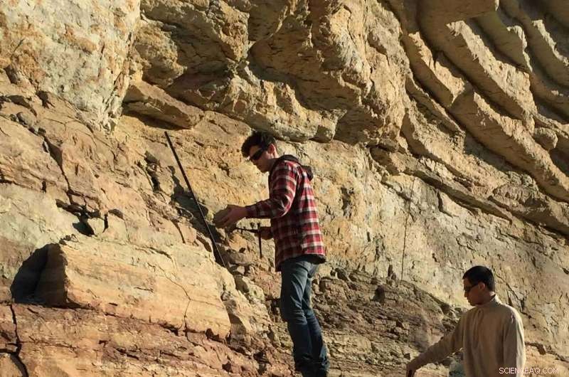 Oxygen Depletion in Ancient Oceans Triggered 430‑Million‑Year‑Old Mass Extinction