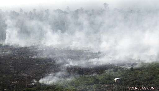 Rising Air Pollution in Indonesia Threatens Life Expectancy