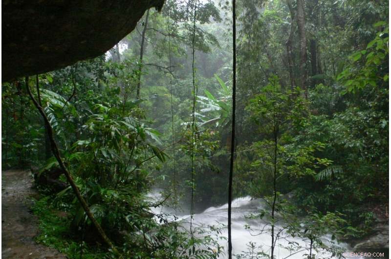 Maximizing Sustainable Profits: China s Innovative Farming Strategy